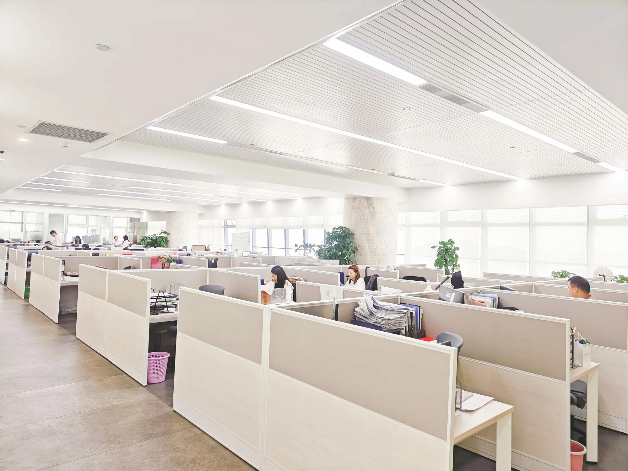 Dongguan Jinghuang Trading Co., Ltd.