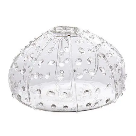 OEM Hand Blown Modern Small Clear Borosilicate Glass Sea Urchin Bud Vases for Home Office Wedding Floral Decoration