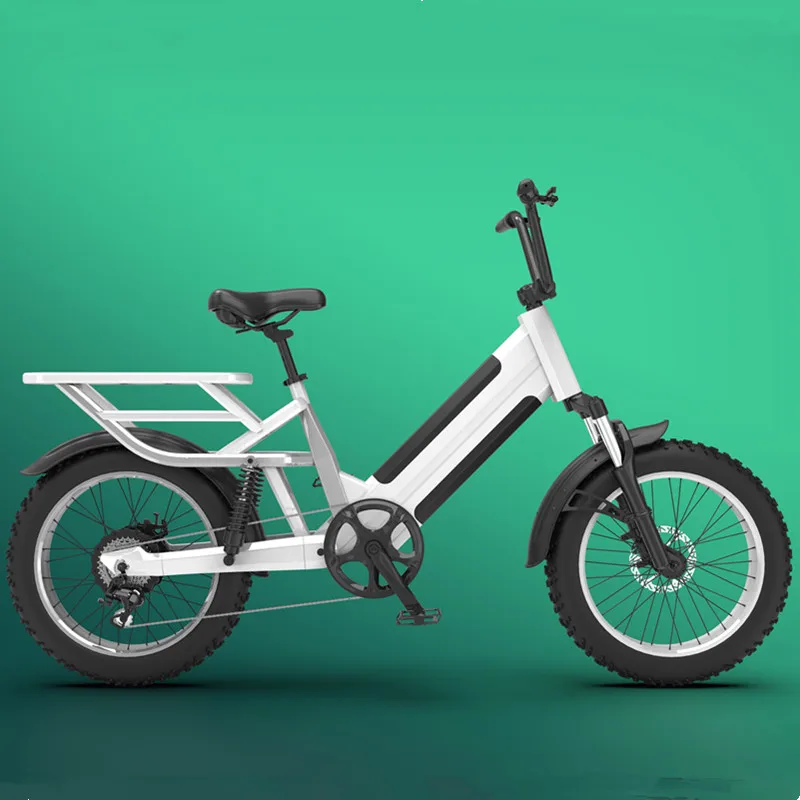 2022 Dual Battery Fat Tire Hub Motor Ebike 750w Beach Cruiser Electric