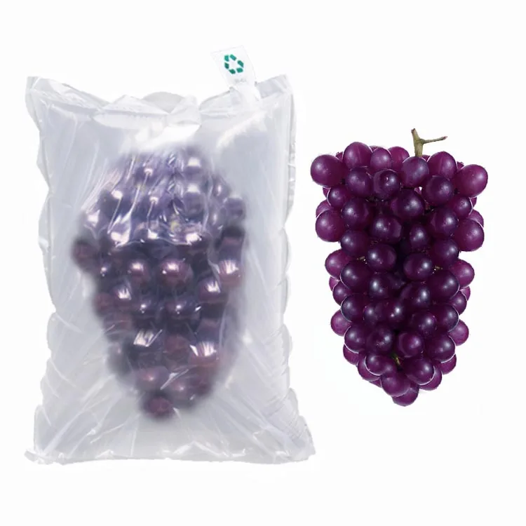 inflatable air cushion packaging