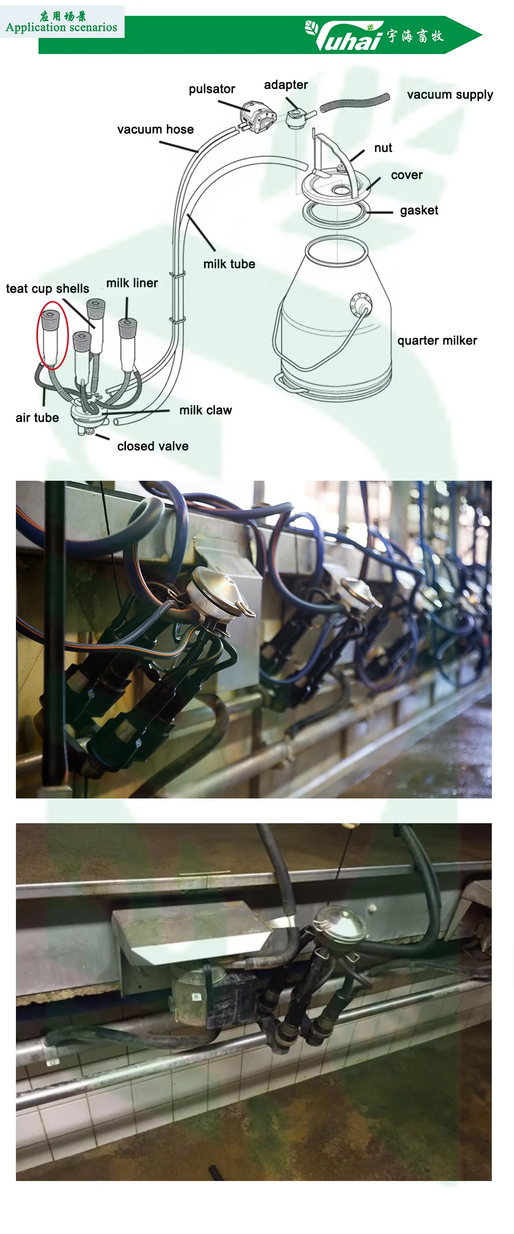 High Quality Cow Plastic Teats Cup with Steel Milking Liner Cup for Milking Machines 100 Piece Set manufacture