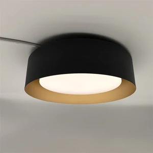 20W Modern LED Ceiling Lamp Round Fixture for Living Room & Kitchen Surface Mounted Panel with AC Power for Bedroom Lighting