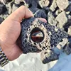Anillo de plantación de plantas acuáticas
