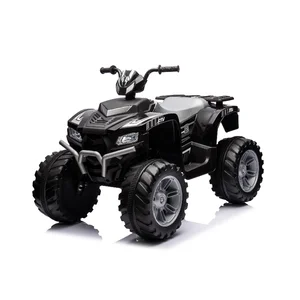 The Beach Is Also Rideable 12V Electric Kids ATV Ride-on Cars for 8 Years Old