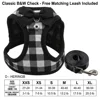 Black and white checkered tie with leash