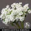 ก้านดอกไม้ทรงแตรฝรั่งเศสสีขาว