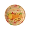 7 inch plates*10pcs