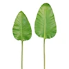 78.5ซม.-ใบ PU Strelitzia reginae