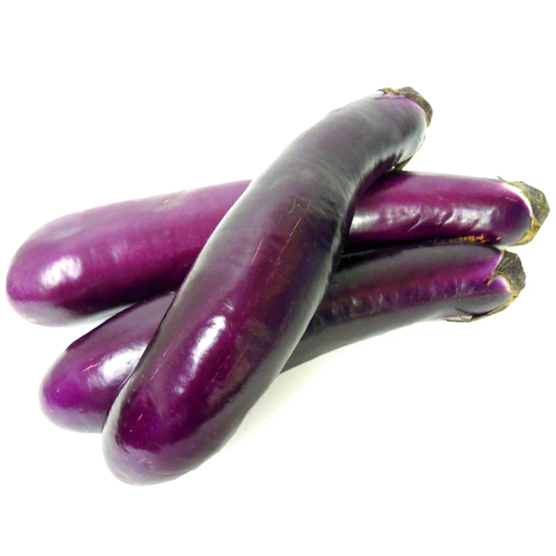 purple lone eggplant seeds  high yield easy to grow F1 hybrid