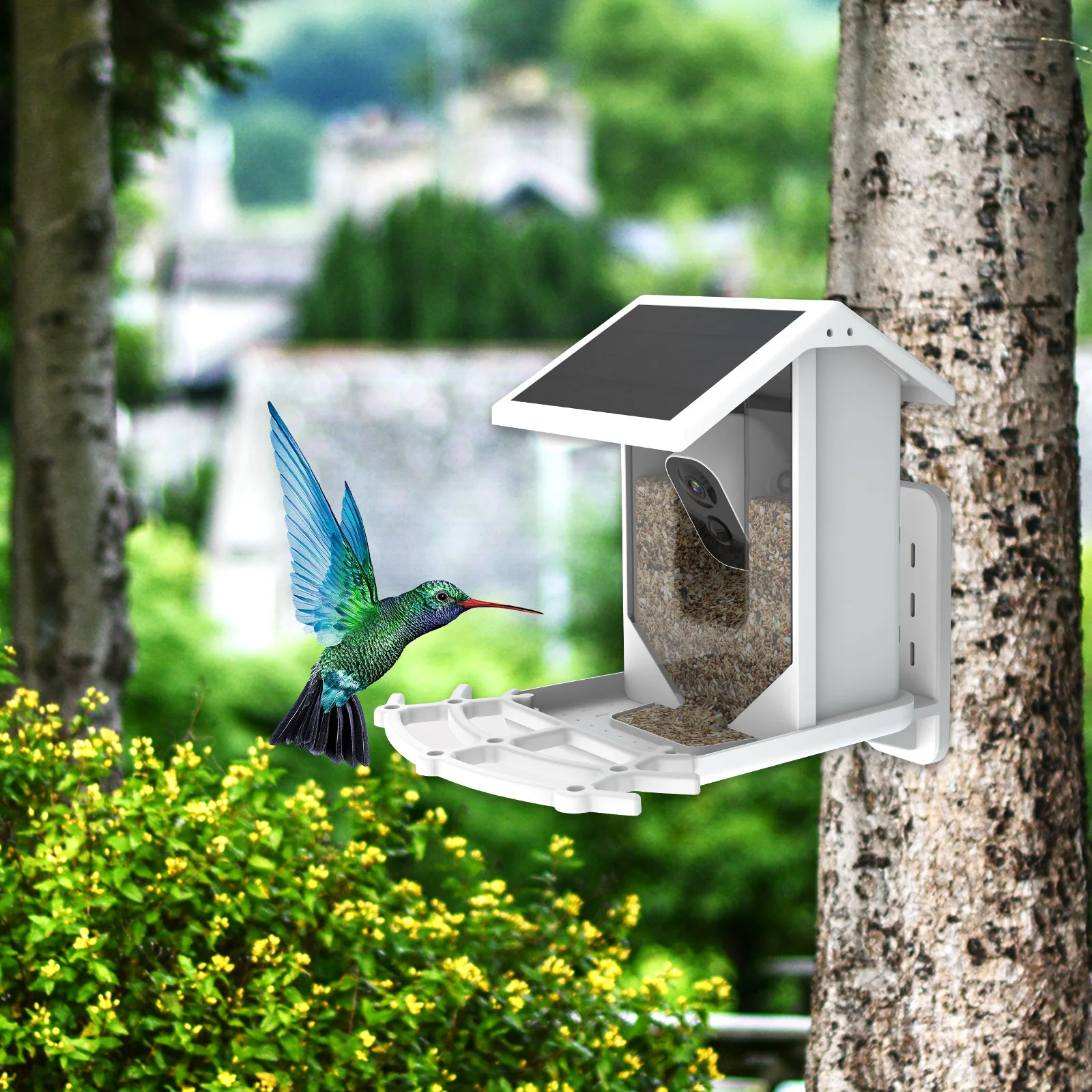 Hot Newest Solar Chargeable AI Recognition Bird Feeder With Camera