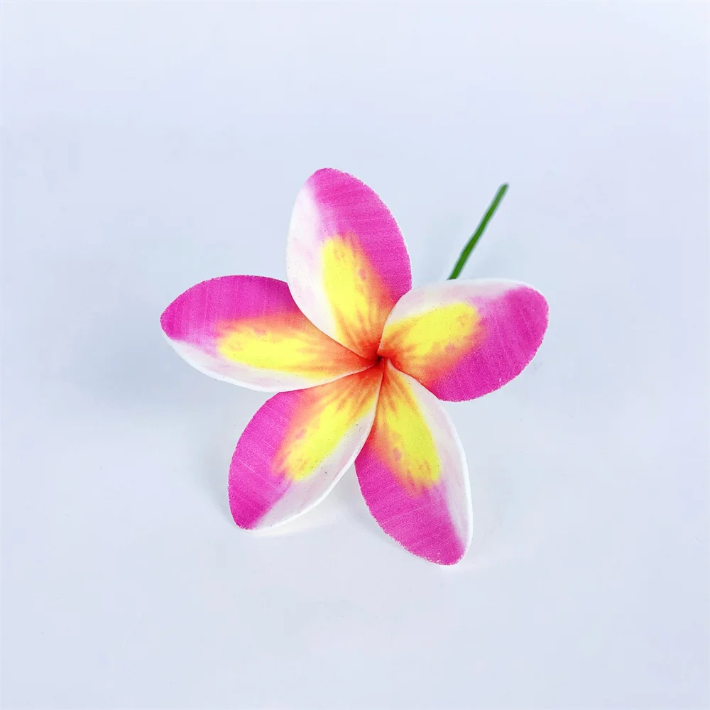 white and pink plumeria flower and palm leaves. - Stock