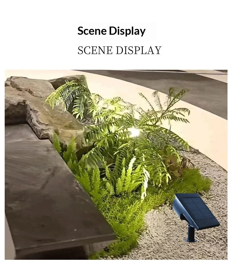 Scene image