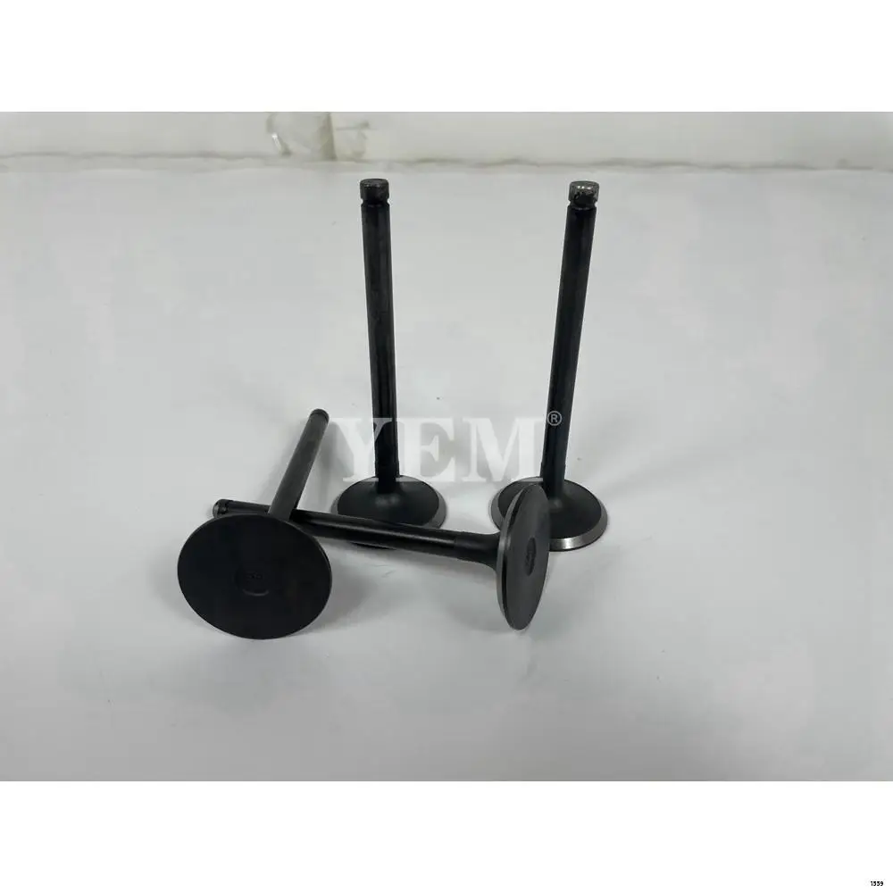 13B Engine Inlet Valve for Toyota