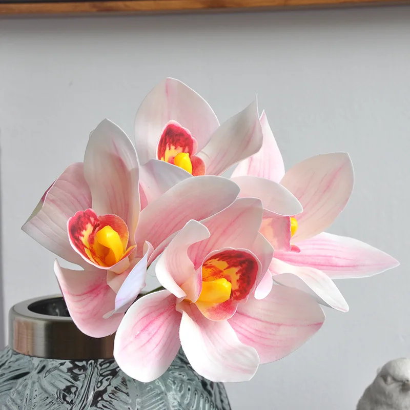 saatgut blumen kaufen Bio Saatgut  Gartenkorn