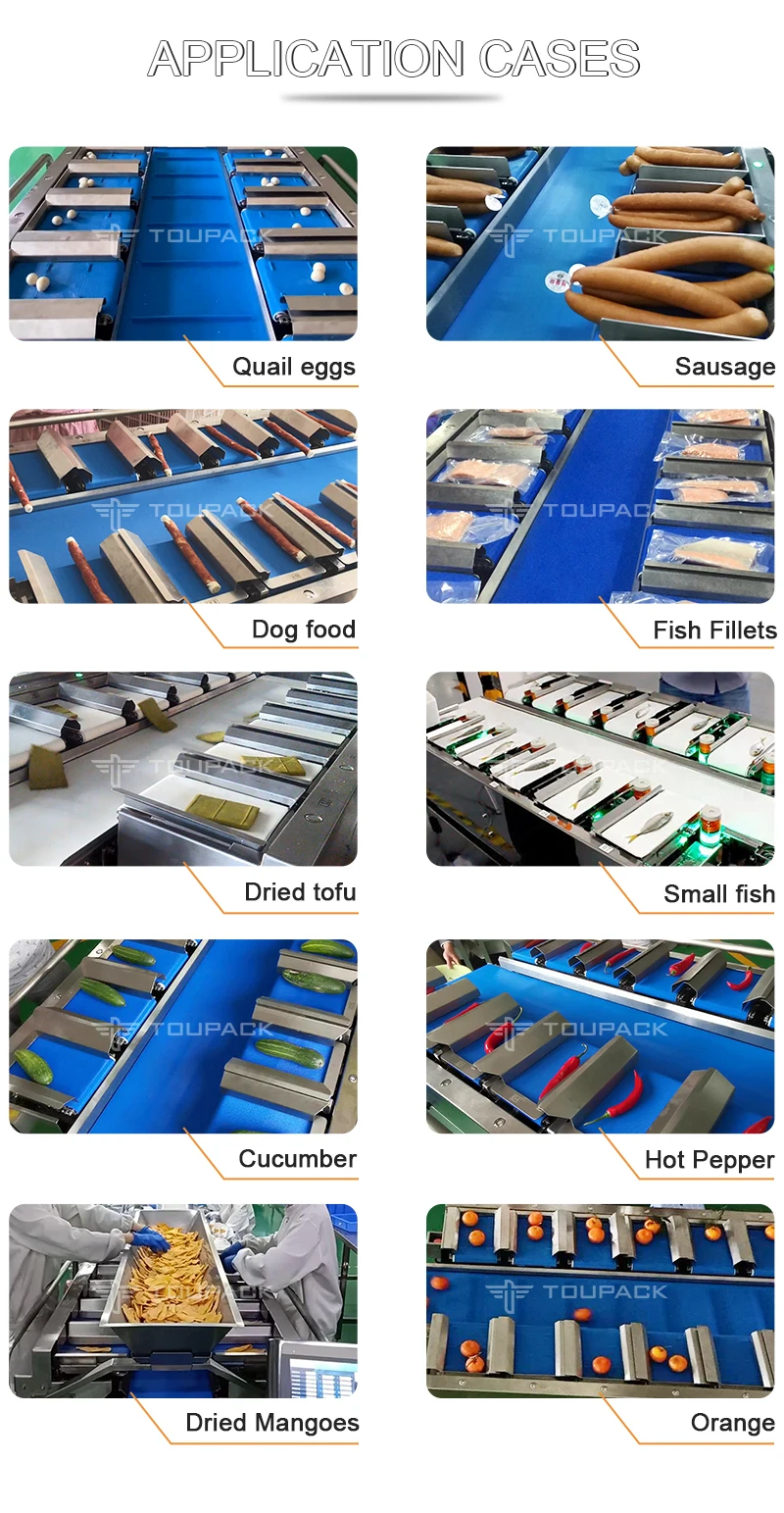 12 Head Multihead Weigher with Stainless Steel 304/316 Construction and 10" Color Touch Screen for High-Accuracy Weighing