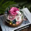 Pink Rose