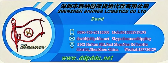 david_