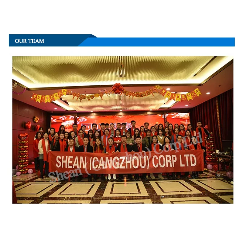 Automatic Salad Weighing Packing Machine Fresh Mixed Salad Vegetable Fruit Vegetable Packaging Machine Lettuce Packing Machine