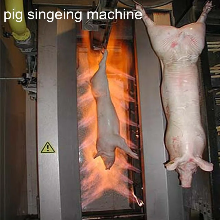 Pig slaughterhouse equipment Pork processing plant equipment