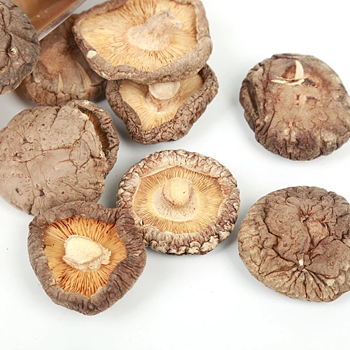 Цветочный гриб