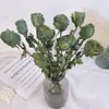 Rosa verde nerastra 10 pezzi