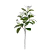 Magnolia white-105cm