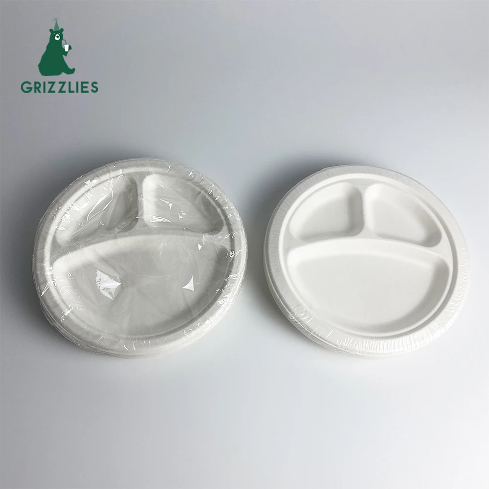 Degradable Disposable Biodegradable Take Away Package Picnic Zuckerrohr Teller Bagasse Sugarcane Sugar Cane Pizza Paper Plate