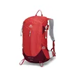 Rojo fuego - 22l