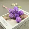 Violeta