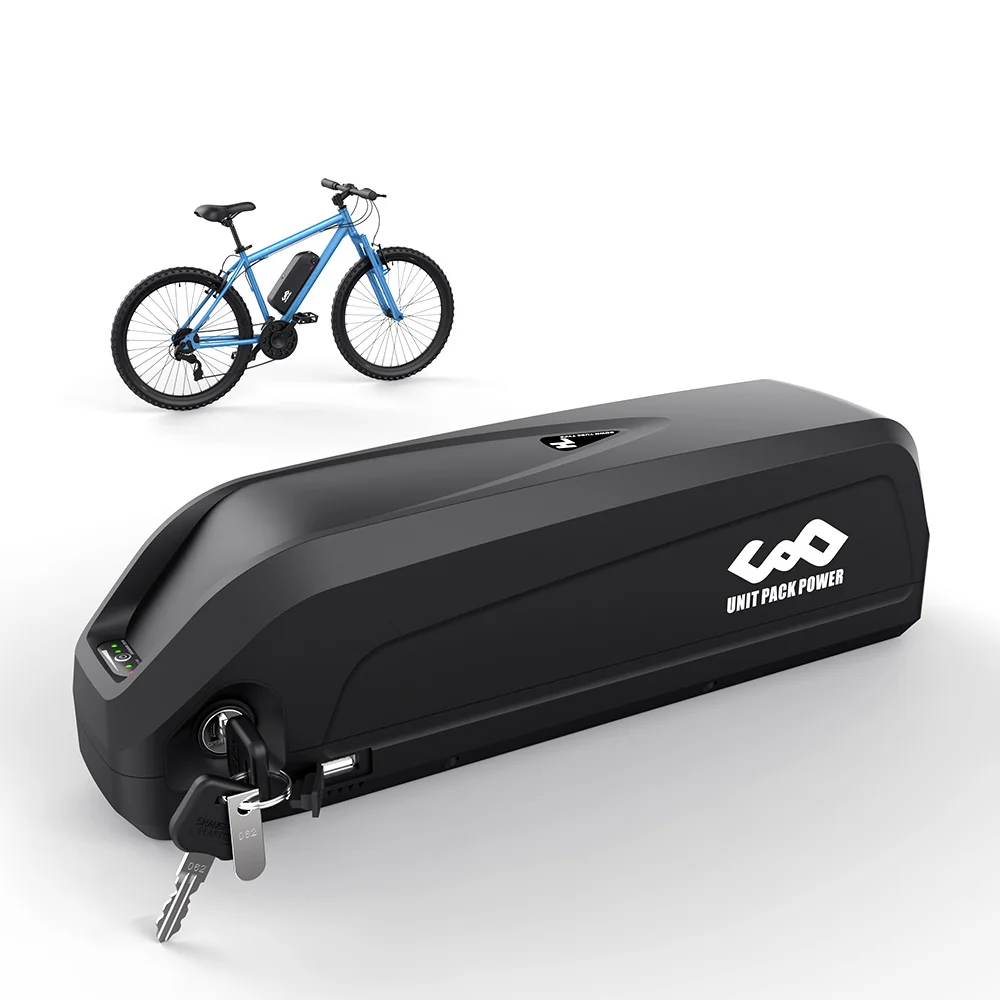48V 20Ah Lithium Ebike Battery for Electric Bicycle & 1500W