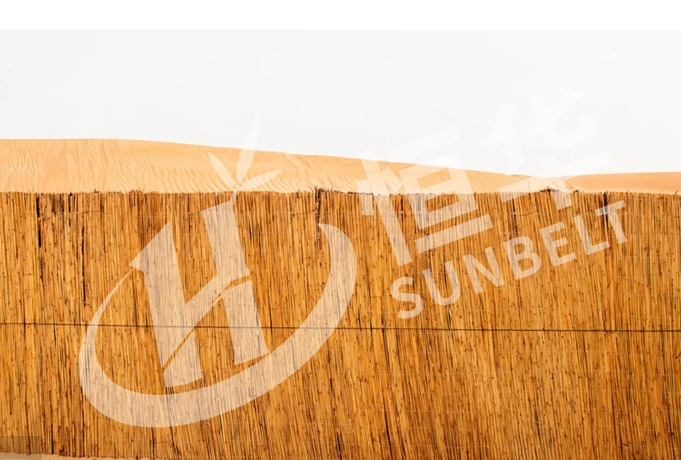 Eco-Friendly Reed Fence Natural And Stylish Solution For Garden Decoration And Privacy