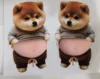 gray coat-wood dog belly sticker