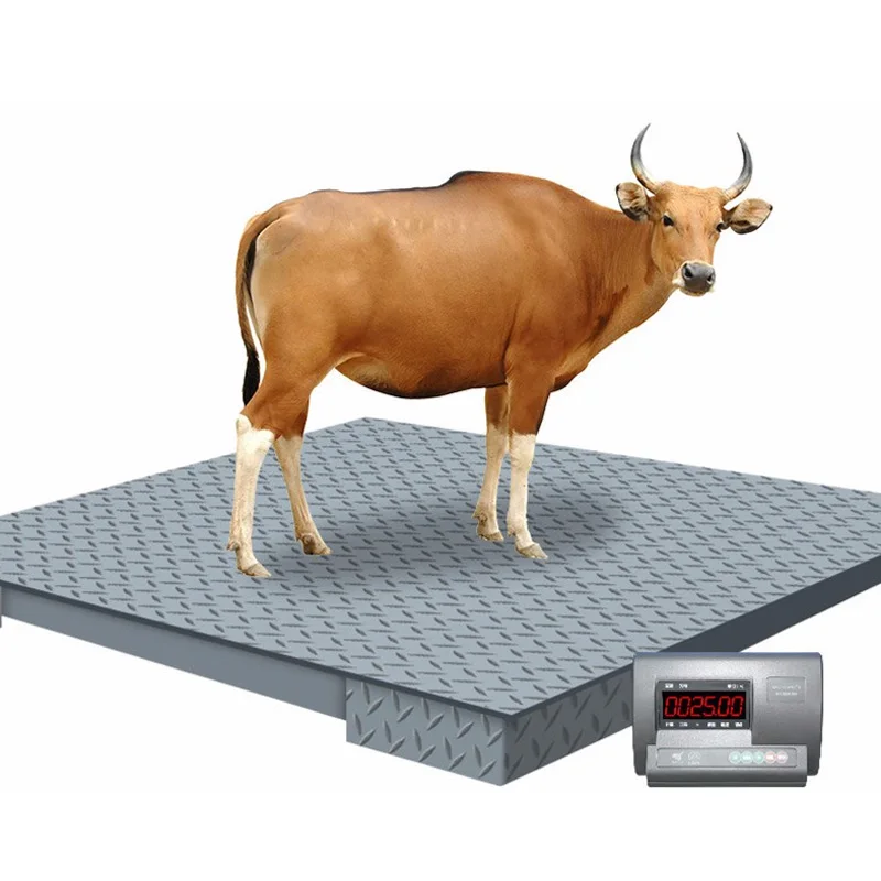 Santwell Customized Animal Scale Cattle Weighing Pig Cow Livestock Scale