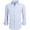 Blue Stripe