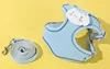 Cane blu + corda da 1,5 m