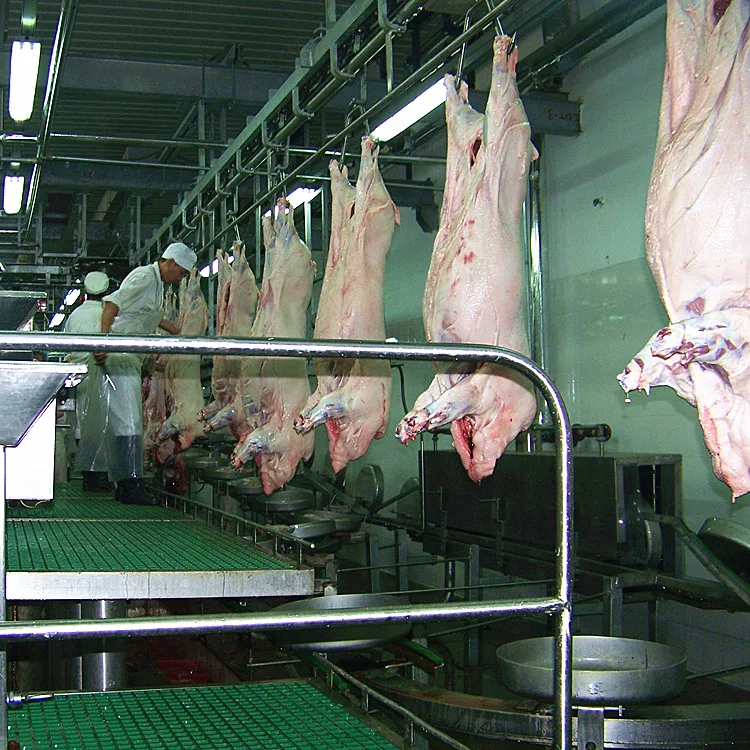 Mobile mother pig slaughterhouse equipment for pig butcher slaughterhouse