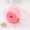 beauty pink