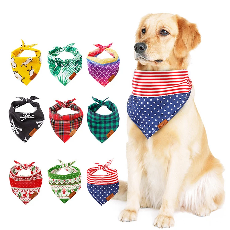 dog with bandana on head