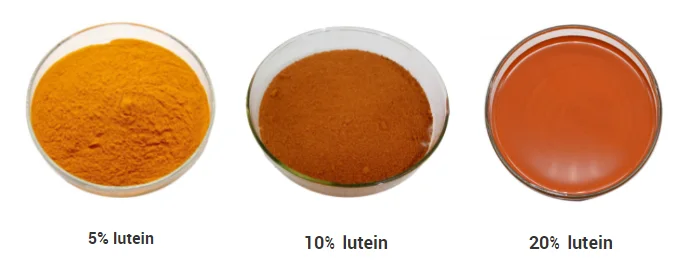 Marigold flower extract lutein