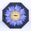 Luz de luna