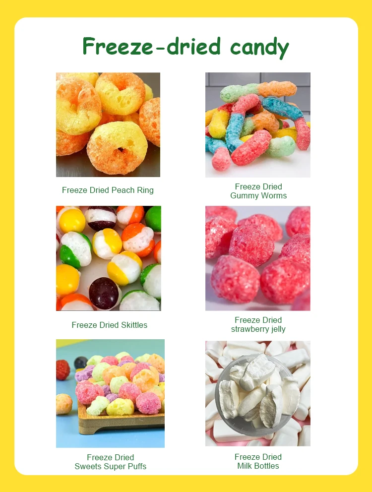 Candy Wholesale Bulk Pack Assorted Fruit Flavor Freeze Dried Jelly ...