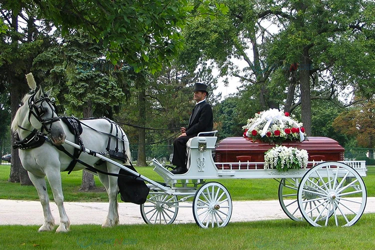 Horse Drawn Funeral Hearse/Carriage Silver Glass Covered Coffin Horse Carriage Victorian Silver Funeral Horse Drawn Carriage