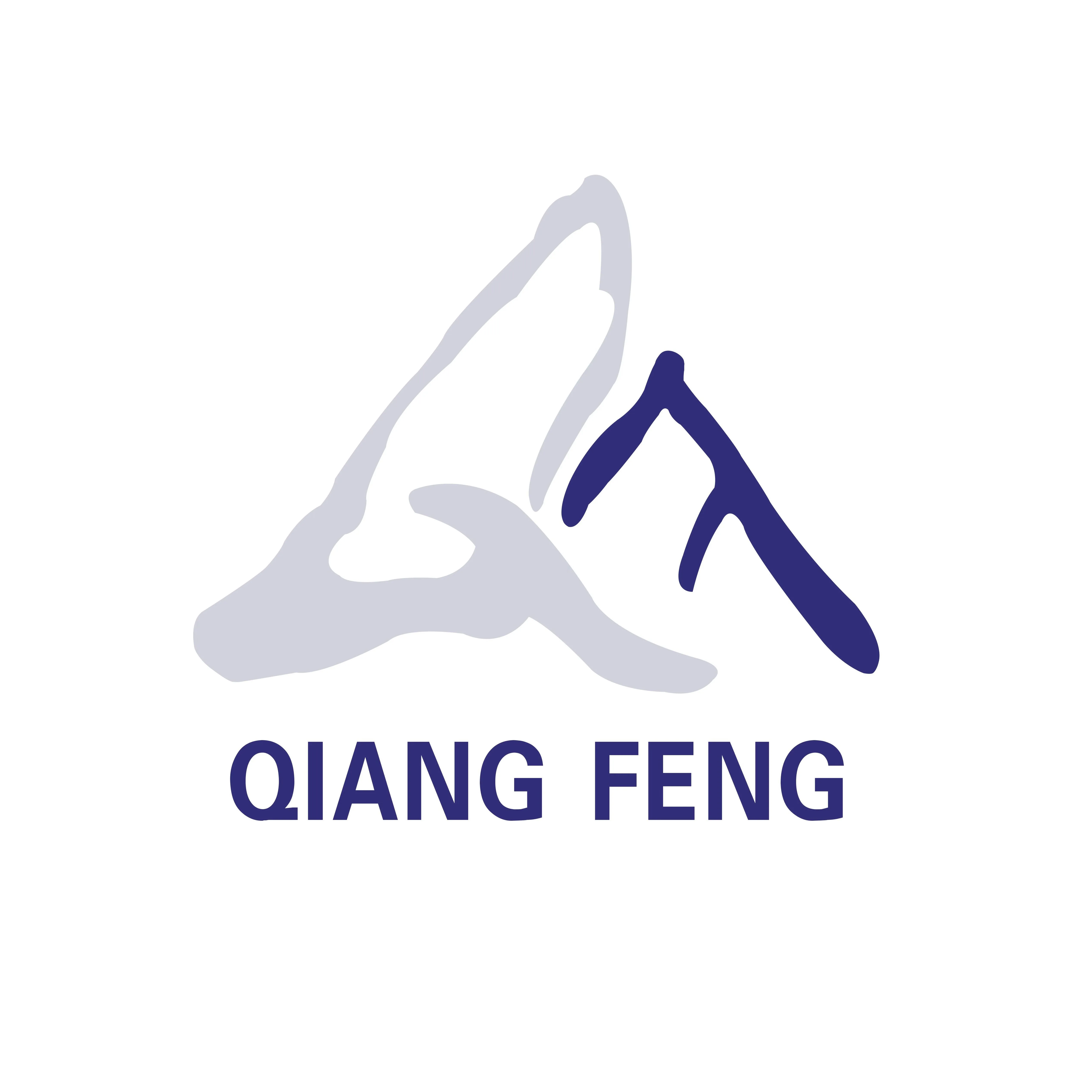 QF ELECTRONICS LIMITED