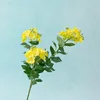 Amarillo