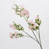 Small jasmine 1 branch