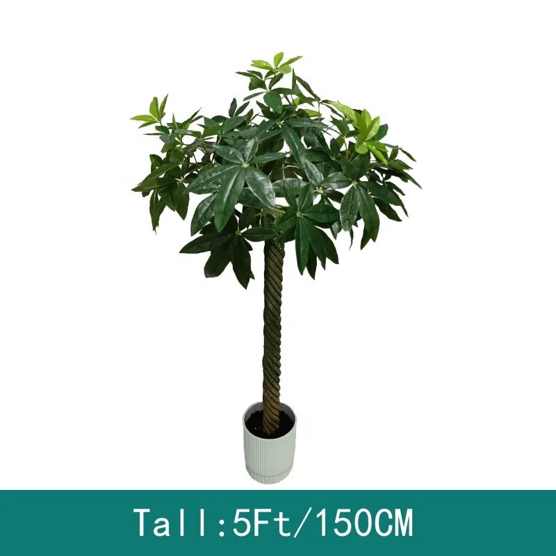 ficus lyrata fiddle leaf fig Fiddle Leaf Fig Tree | Ficus Lyrata