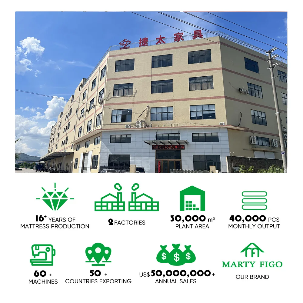 Colchone Queen Single White Color Rolled-up Compressed Foam Spring Bed Mattress for Flat Hotel  Hostel Foam Mattress