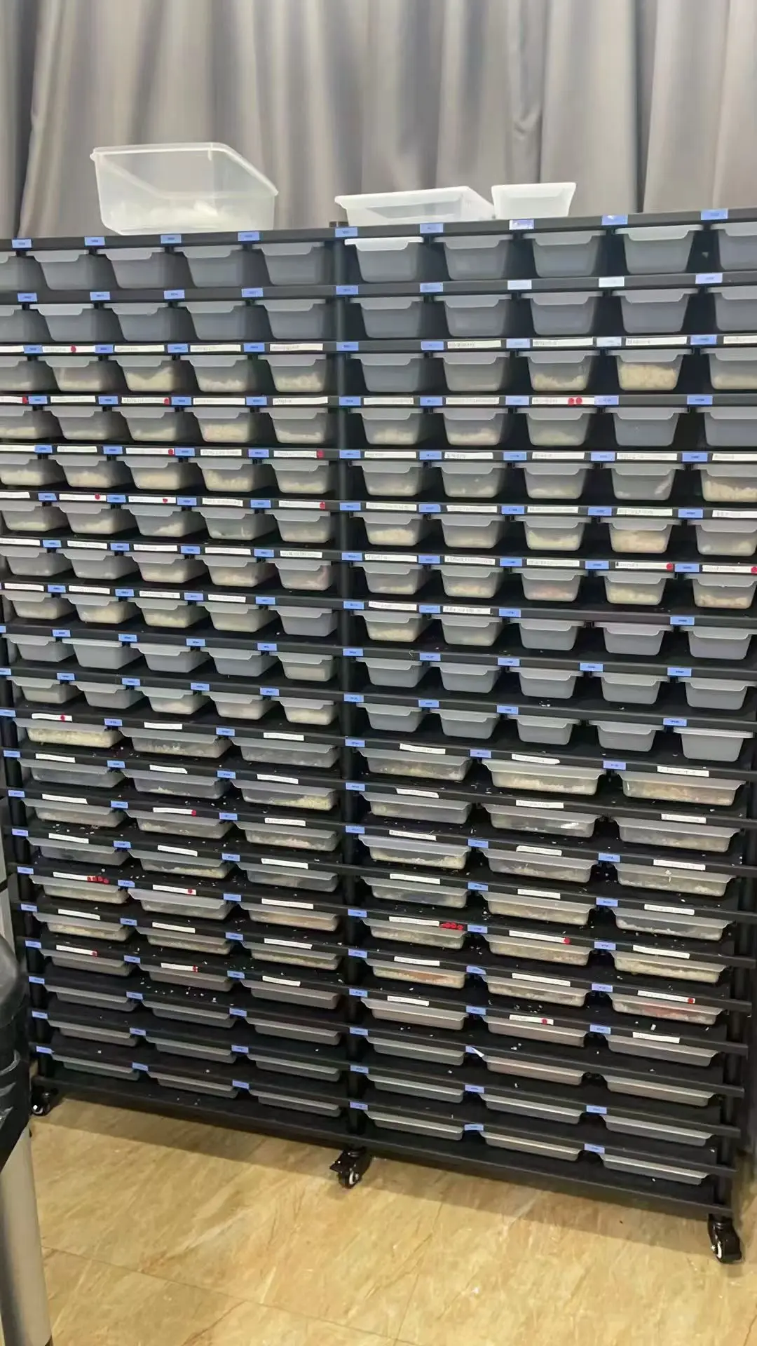 フラットパック爬虫類用スネークラック｜ペットケージ用 раκ