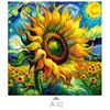 Multicolor-A02