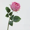 สีม่วงเข้ม